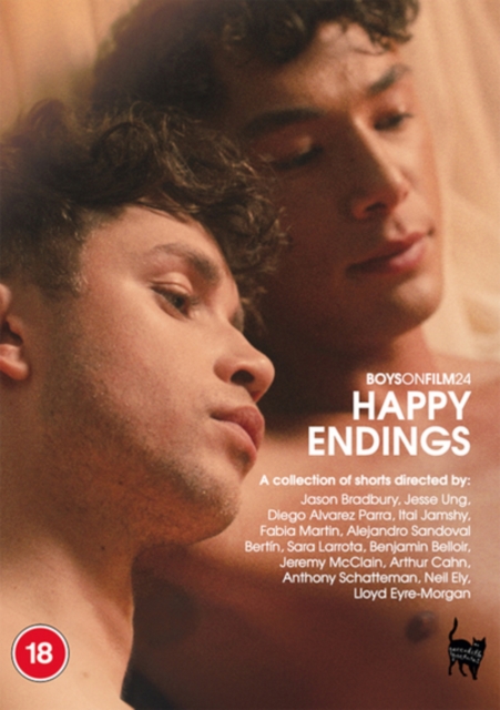Boys On Film 24 - Happy Endings, DVD DVD