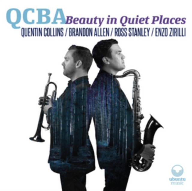 Beauty in Quiet Places, CD / Album Cd