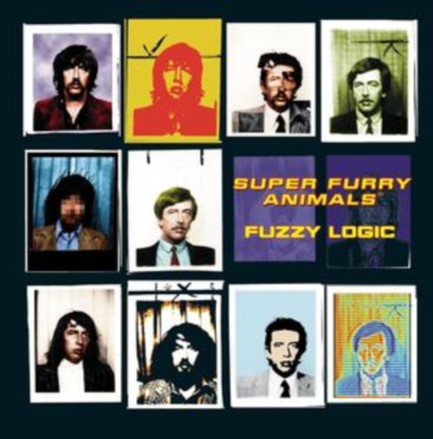 Fuzzy Logic, CD / Album Cd