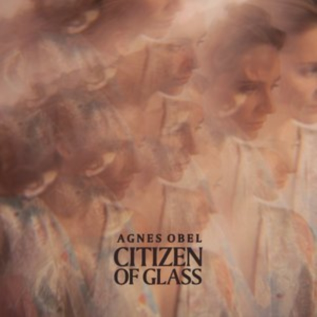 Citizen of Glass, Vinyl / 12" Album Vinyl