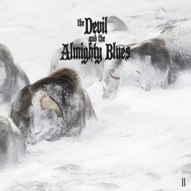 The Devil and the Almighty Blues II, Vinyl / 12" Album Vinyl