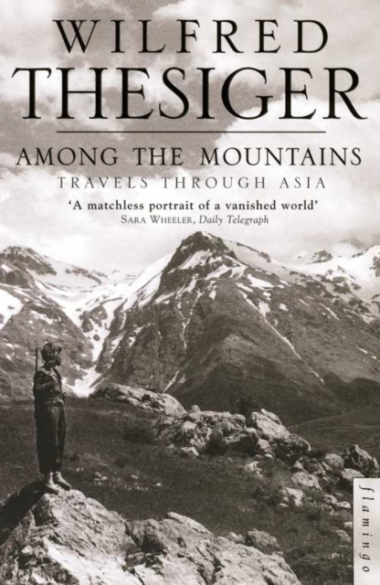 Among the Mountains : Travels Through Asia, Paperback / softback Book
