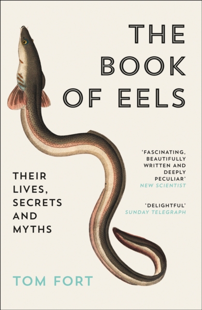 The Book of Eels : Their Lives, Secrets and Myths, Paperback / softback Book