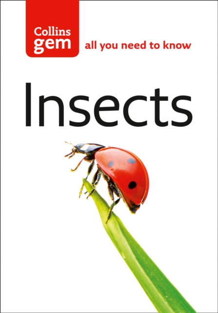 Insects, Paperback / softback Book