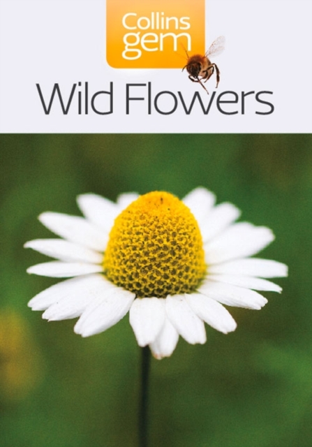 Wild Flowers, Paperback / softback Book
