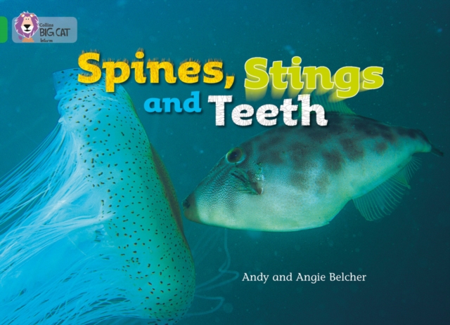 Spines, Stings and Teeth : Band 05/Green, Paperback / softback Book