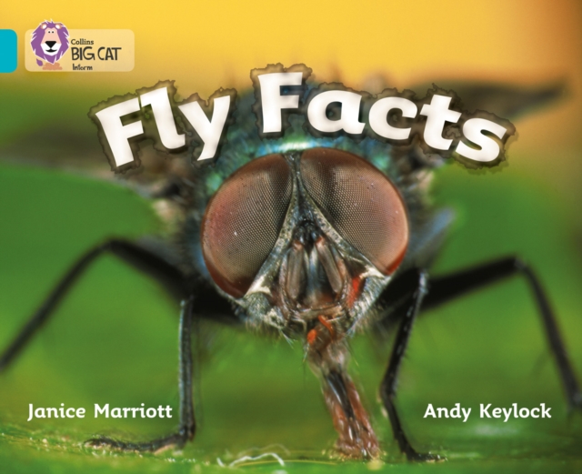 Fly Facts : Band 07/Turquoise, Paperback / softback Book