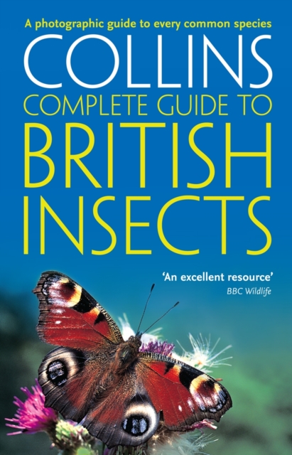 British Insects : A Photographic Guide to Every Common Species, Paperback / softback Book
