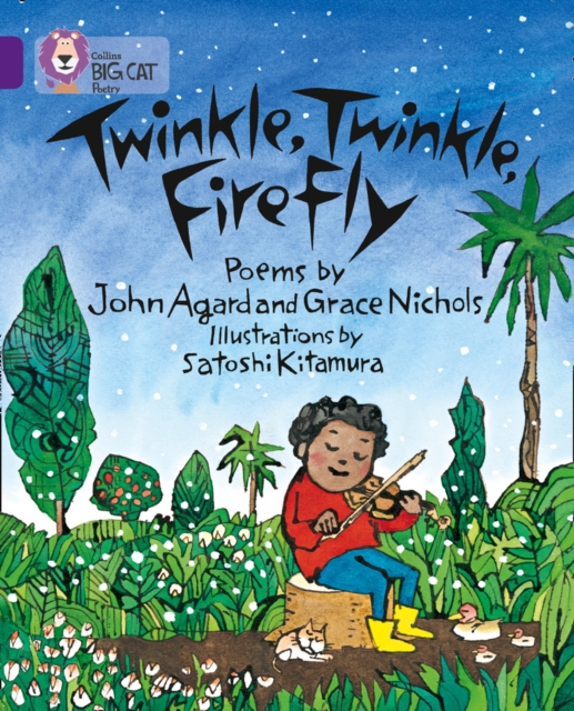 Twinkle, Twinkle, Firefly : Band 08/Purple, Paperback / softback Book