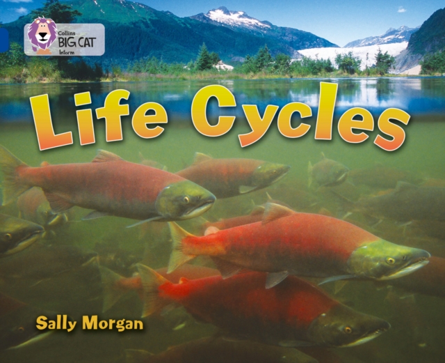Life Cycles : Band 16/Sapphire, Paperback / softback Book