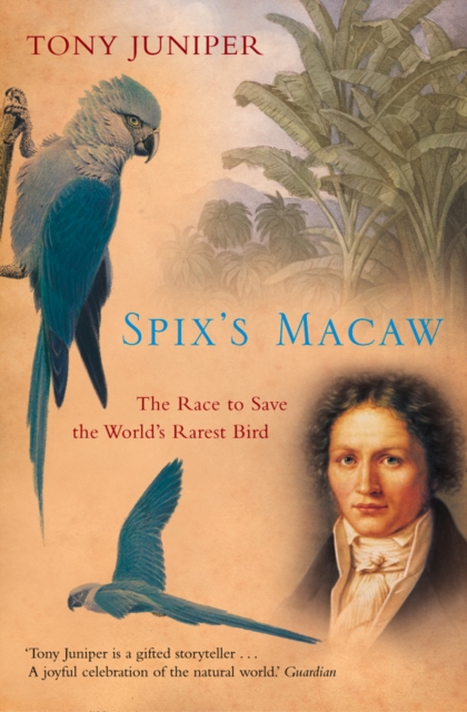 Spix’s Macaw : The Race to Save the World’s Rarest Bird (Text Only), EPUB eBook