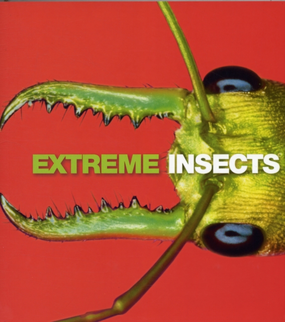 Extreme Insects, Paperback Book