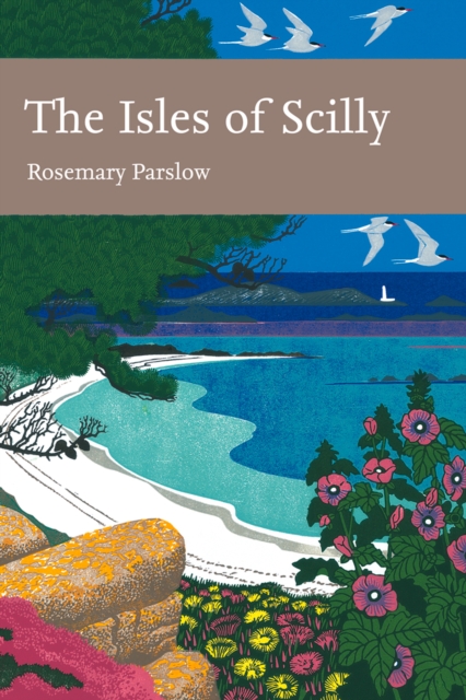 The Isles of Scilly, EPUB eBook