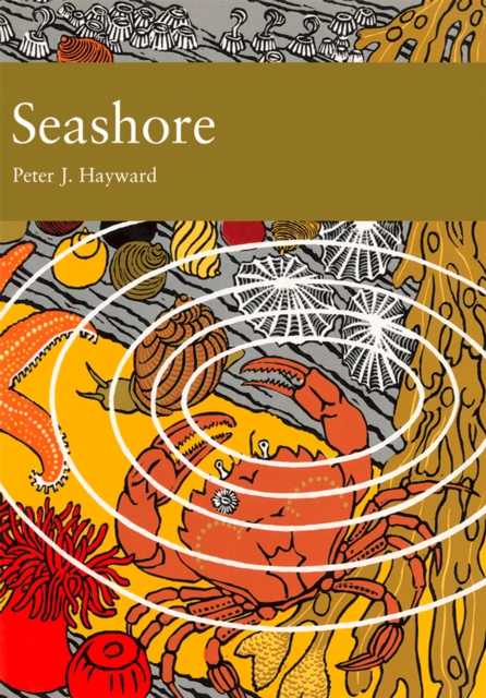 Seashore, EPUB eBook