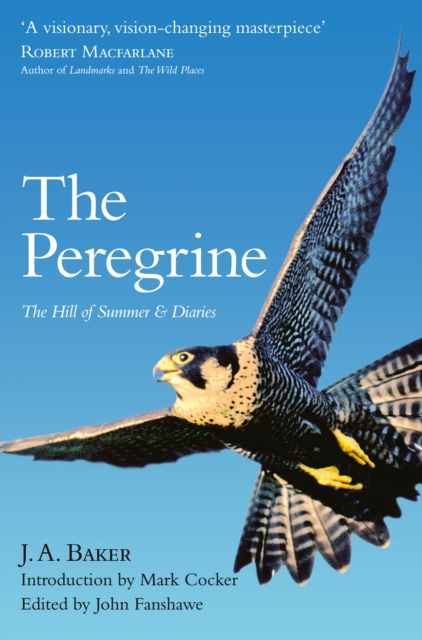 The Peregrine : The Hill of Summer & Diaries: the Complete Works of J. A. Baker, EPUB eBook