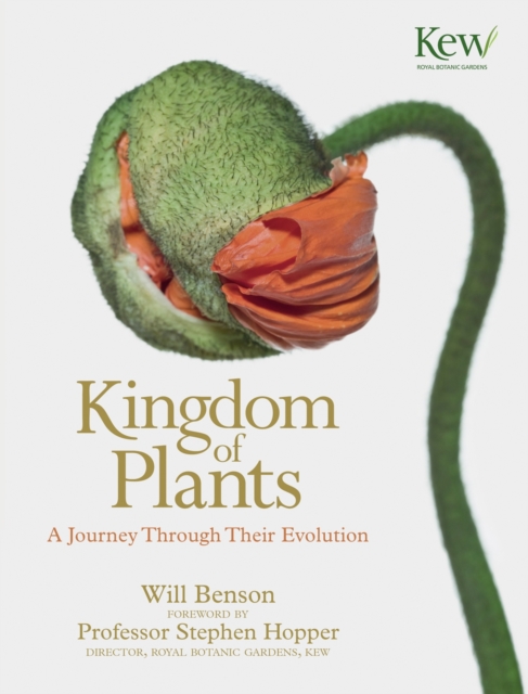 The Kingdom of Plants : A Journey Through Their Evolution, Hardback Book