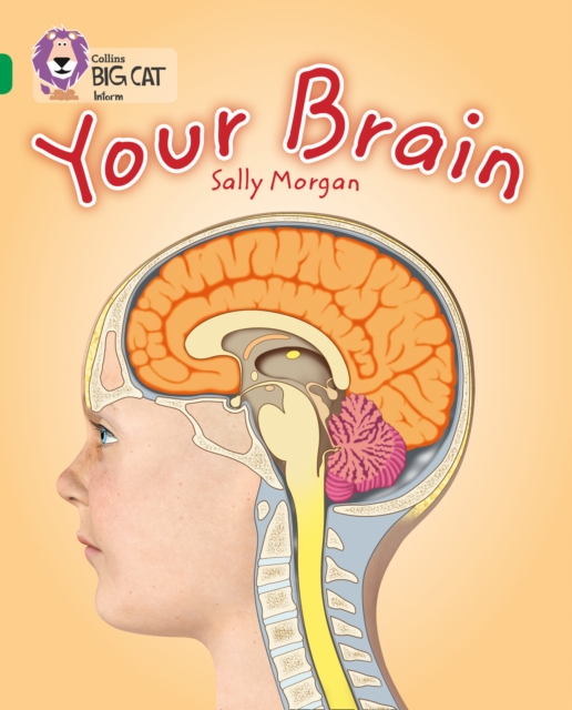 Your Brain : Band 15/Emerald, Paperback / softback Book