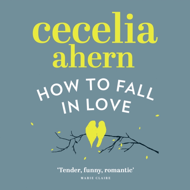 How to Fall in Love, eAudiobook MP3 eaudioBook