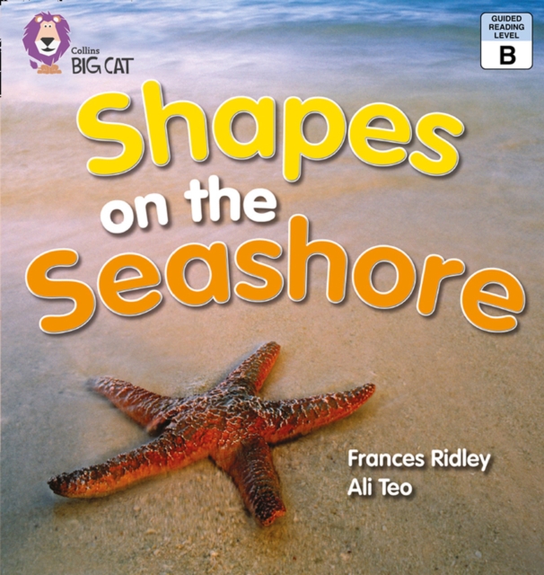 Shapes on the Seashore, EPUB eBook