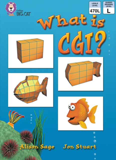 What Is CGI?, EPUB eBook