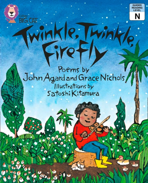 Twinkle, Twinkle, Firefly : Band 8/ Purple, EPUB eBook