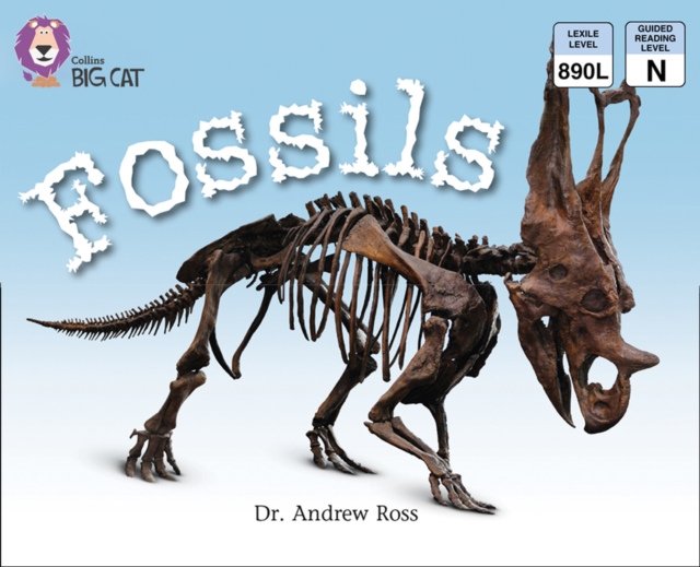 Fossils : Band 10/ White, EPUB eBook