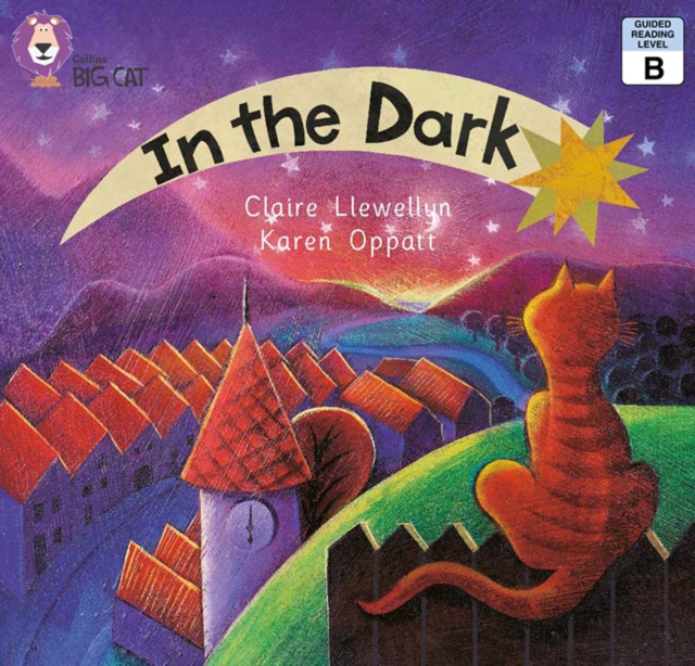 In the Dark, EPUB eBook
