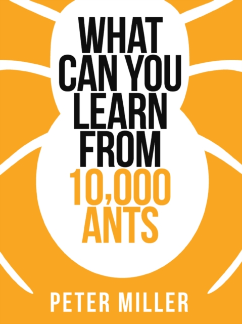 What You Can Learn From 10,000 Ants, EPUB eBook