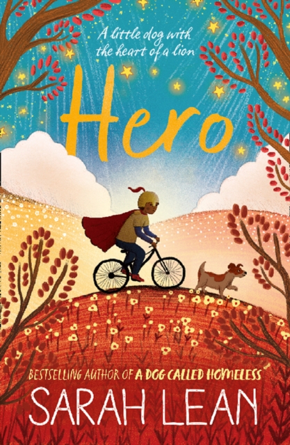 Hero, Paperback / softback Book