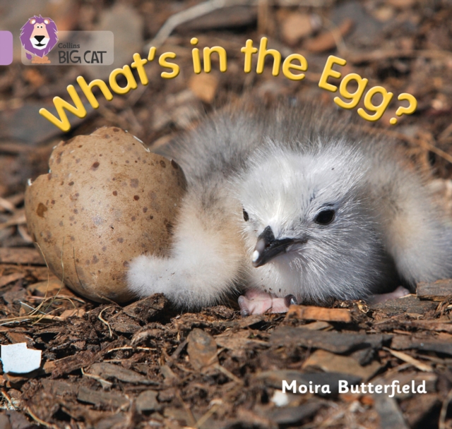 What’s in the Egg? : Band 00/Lilac, Paperback / softback Book
