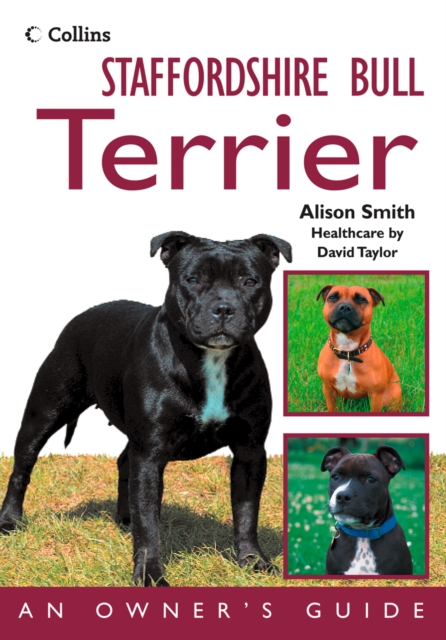 Staffordshire Bull Terrier : An Owner's Guide, EPUB eBook