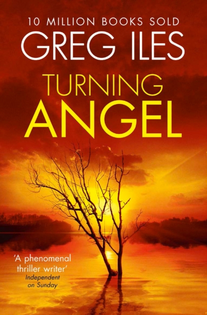 Turning Angel, Paperback / softback Book