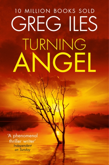 Turning Angel, EPUB eBook