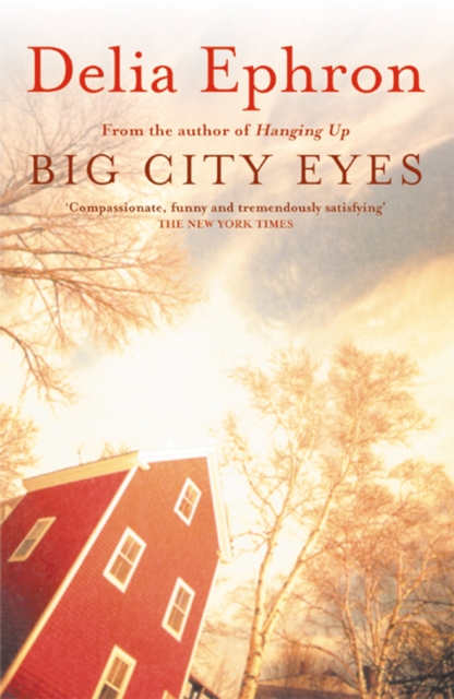 Big City Eyes, EPUB eBook