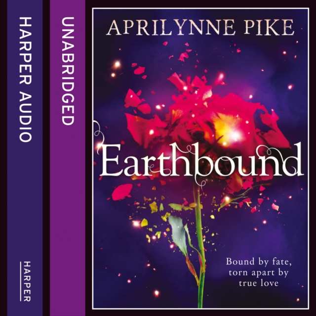 Earthbound, eAudiobook MP3 eaudioBook