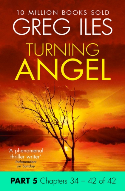 Turning Angel: Part 5, Chapters 34 to 42, EPUB eBook