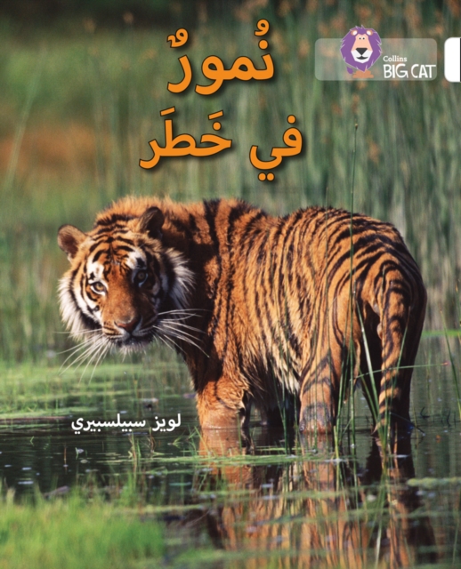 Tigers in Danger : Level 10, Paperback / softback Book