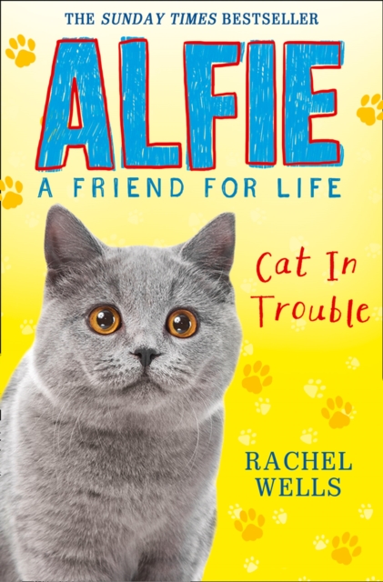 Alfie Cat In Trouble, Paperback / softback Book
