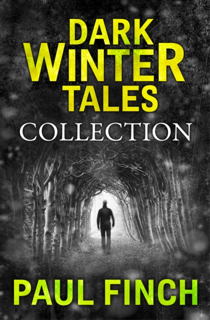 Dark Winter Tales: a collection of horror short stories, EPUB eBook