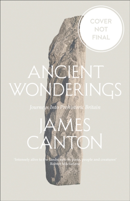 Ancient Wonderings : Journeys into Prehistoric Britain, Paperback / softback Book