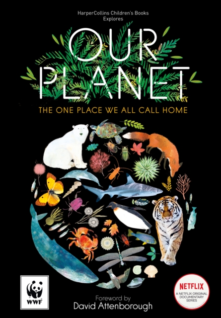 Our Planet : The One Place We All Call Home, Hardback Book