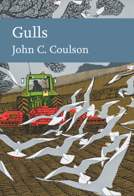 Gulls, Hardback Book