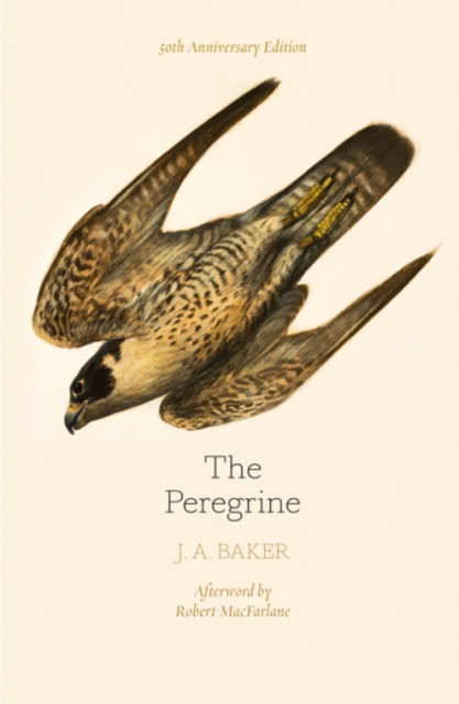 The Peregrine: 50th Anniversary Edition : Afterword by Robert Macfarlane, Paperback / softback Book