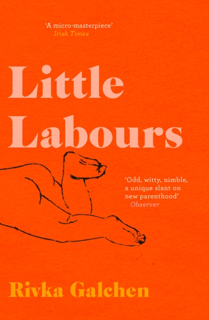 Little Labours, Paperback / softback Book