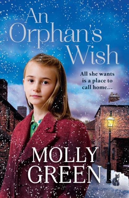 An Orphan’s Wish, Paperback / softback Book