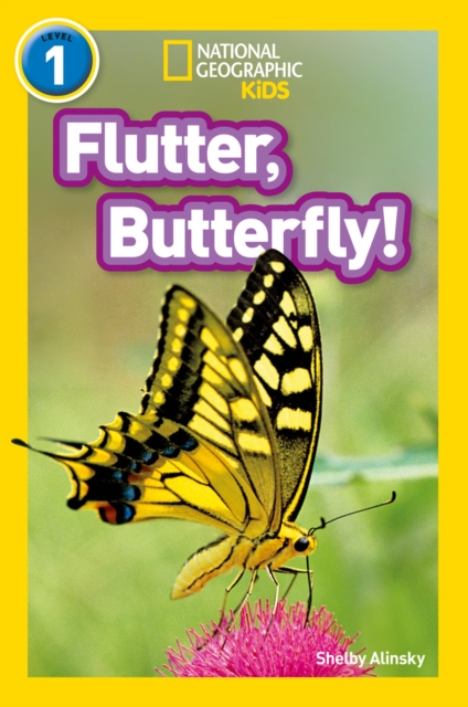 Flutter, Butterfly! : Level 1, Paperback / softback Book
