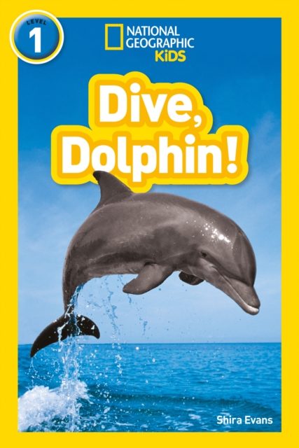 Dive, Dolphin! : Level 1, Paperback / softback Book