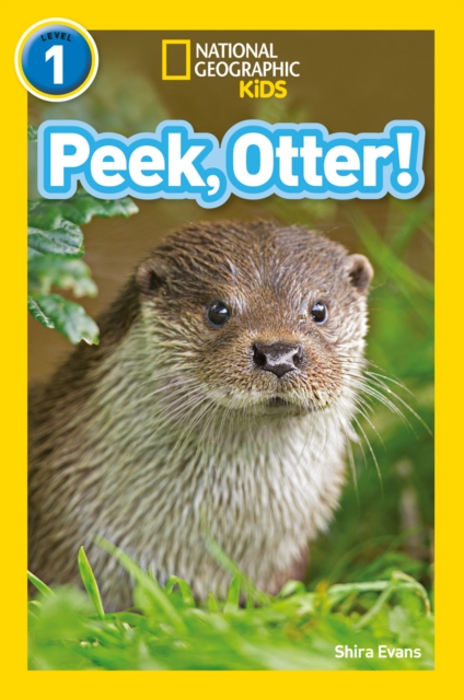 Peek, Otter! : Level 1, Paperback / softback Book