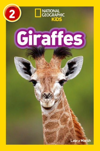 Giraffes : Level 2, Paperback / softback Book