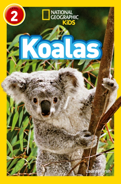 Koalas : Level 2, Paperback / softback Book